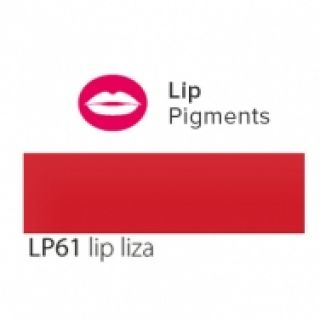 Pigment